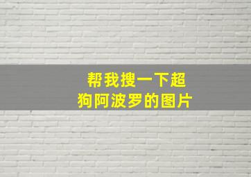 帮我搜一下超狗阿波罗的图片