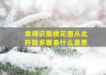 幸得识卿桃花面从此阡陌多暖春什么意思