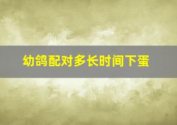 幼鸽配对多长时间下蛋