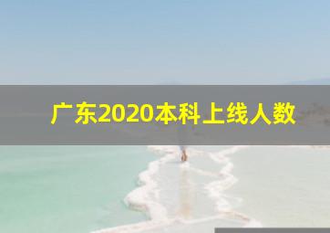 广东2020本科上线人数