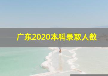 广东2020本科录取人数