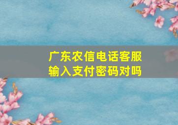 广东农信电话客服输入支付密码对吗