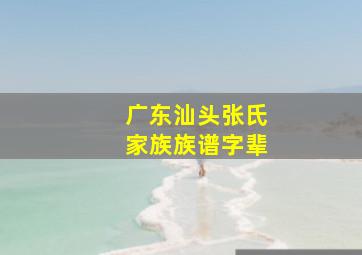 广东汕头张氏家族族谱字辈