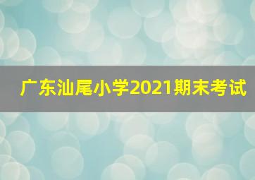 广东汕尾小学2021期末考试