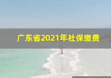 广东省2021年社保缴费