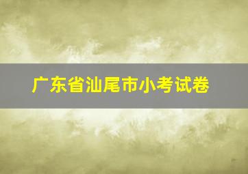 广东省汕尾市小考试卷