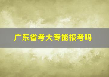 广东省考大专能报考吗