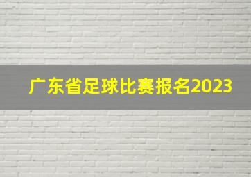 广东省足球比赛报名2023