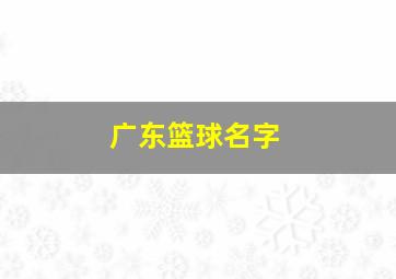 广东篮球名字