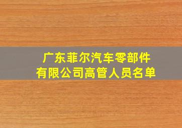 广东菲尔汽车零部件有限公司高管人员名单