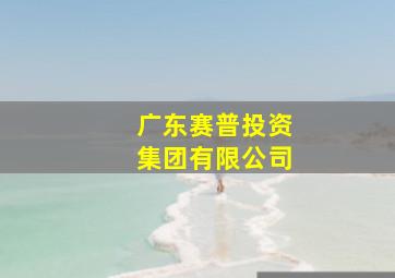 广东赛普投资集团有限公司