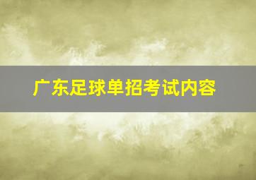 广东足球单招考试内容