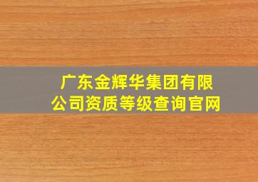 广东金辉华集团有限公司资质等级查询官网