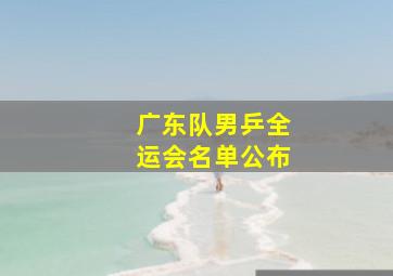 广东队男乒全运会名单公布