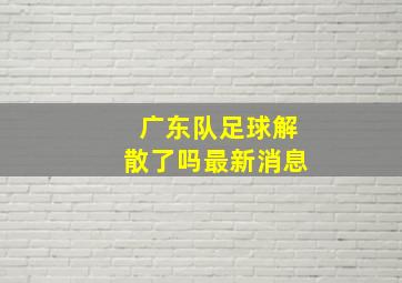 广东队足球解散了吗最新消息