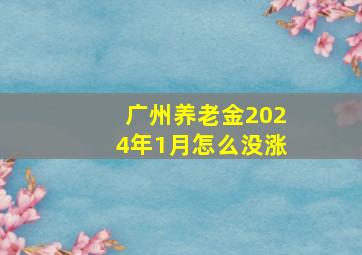 广州养老金2024年1月怎么没涨