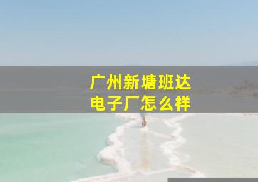 广州新塘班达电子厂怎么样