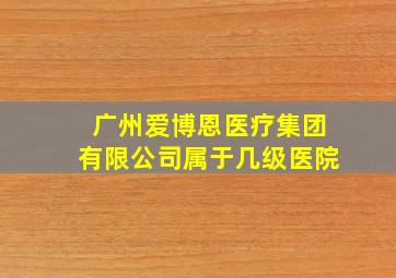 广州爱博恩医疗集团有限公司属于几级医院