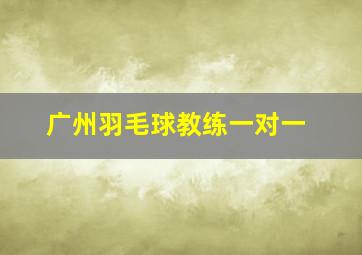 广州羽毛球教练一对一