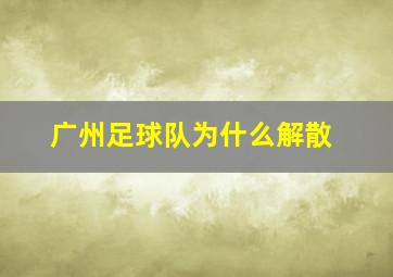 广州足球队为什么解散