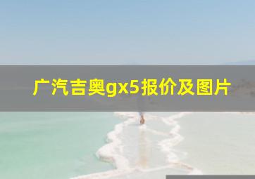 广汽吉奥gx5报价及图片