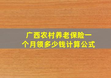 广西农村养老保险一个月领多少钱计算公式