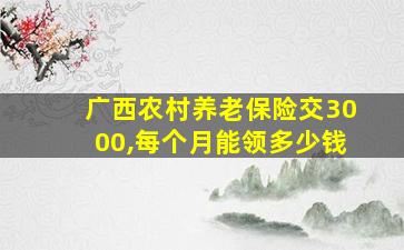 广西农村养老保险交3000,每个月能领多少钱