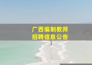 广西编制教师招聘信息公告