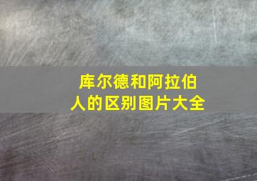 库尔德和阿拉伯人的区别图片大全