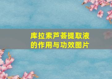 库拉索芦荟提取液的作用与功效图片