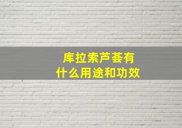 库拉索芦荟有什么用途和功效