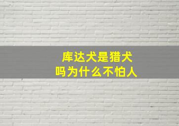 库达犬是猎犬吗为什么不怕人