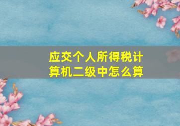 应交个人所得税计算机二级中怎么算