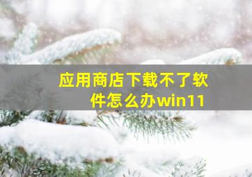 应用商店下载不了软件怎么办win11