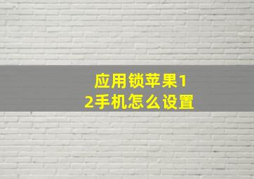 应用锁苹果12手机怎么设置