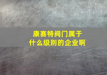 康赛特阀门属于什么级别的企业啊