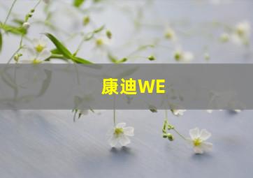 康迪WE