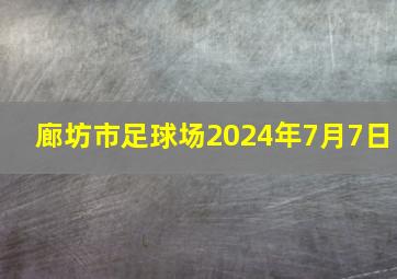 廊坊市足球场2024年7月7日