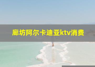 廊坊阿尔卡迪亚ktv消费