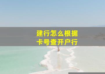 建行怎么根据卡号查开户行