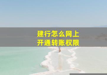 建行怎么网上开通转账权限