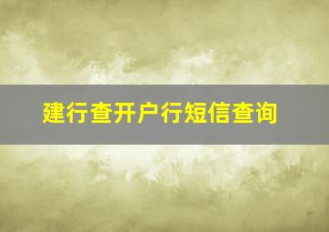 建行查开户行短信查询