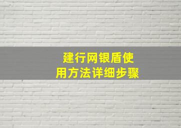 建行网银盾使用方法详细步骤