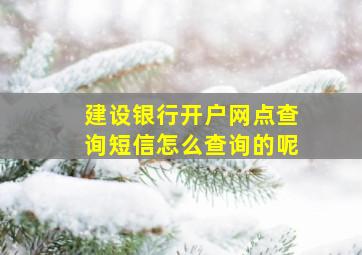 建设银行开户网点查询短信怎么查询的呢