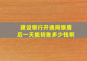 建设银行开通网银盾后一天能转账多少钱啊