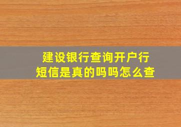 建设银行查询开户行短信是真的吗吗怎么查