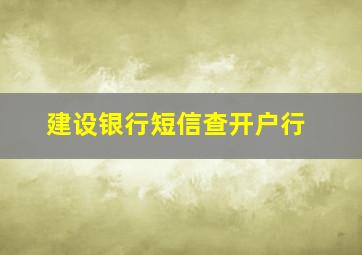 建设银行短信查开户行