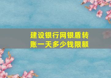 建设银行网银盾转账一天多少钱限额