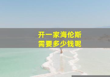 开一家海伦斯需要多少钱呢