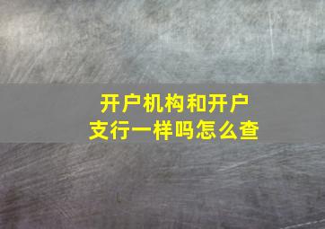 开户机构和开户支行一样吗怎么查